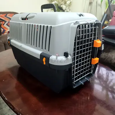 Cats carriers for air travel