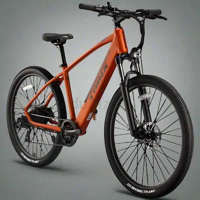 TRINX groove Electric bike
