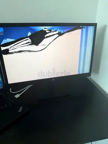Hp N223 Monitor (broken screen display)