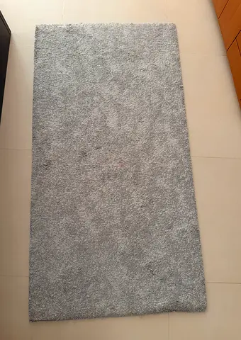Light grey carpet / rug
