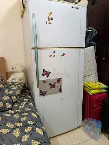 Panasonic Double Door Refrigerator