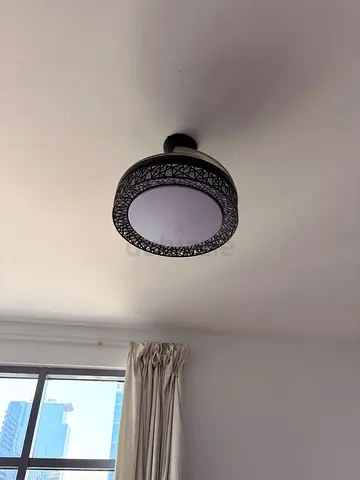 Home light with Fan