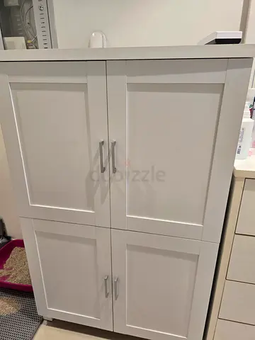 Shoes storage cabinet