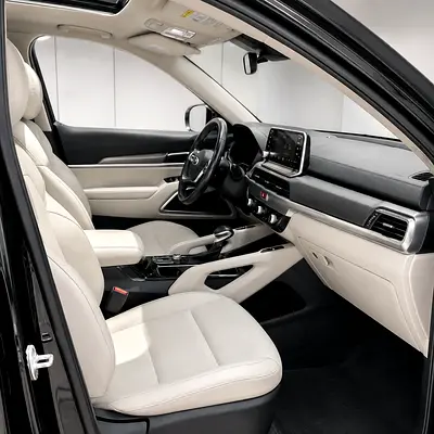 2020 KIA TELLURIDE 照片 17