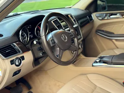 2014 Mercedes-BENZ GL 照片 15