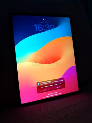 I pad pro 12.9 4th gen 1T Wifi+celluler