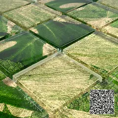 Prime land for sale in the Al-Nuaimiya 1 area