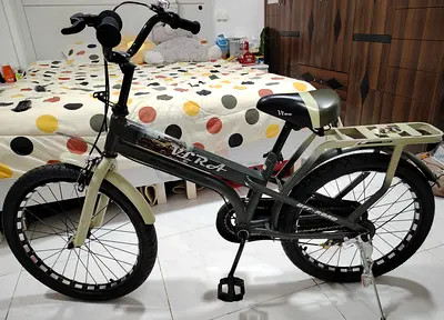 Used 20-inch V-Rod Kids/Teen Cruiser Bike with Rear Rack