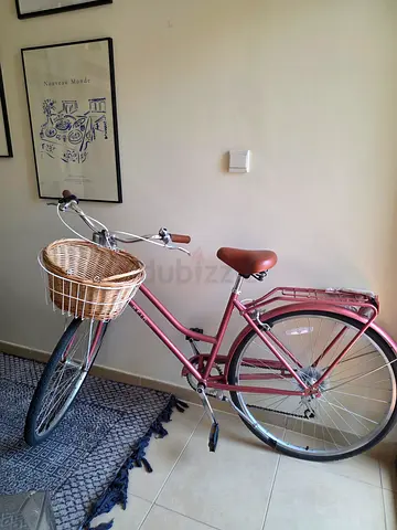 Ladies Vintage-Style Bicycle with Basket – Like New