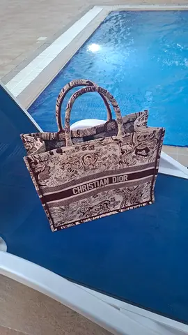 christian dior woman bag