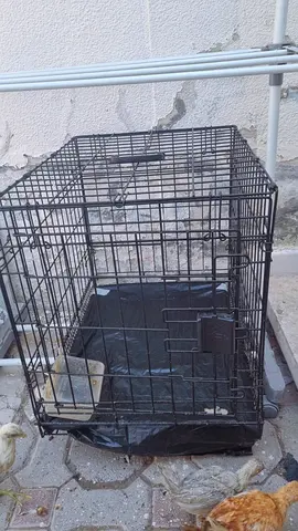 Medium foldable metal cage
