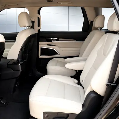 2020 KIA TELLURIDE 照片 12