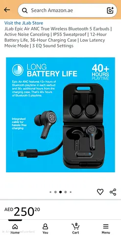 Jlab epic air anc earbuds