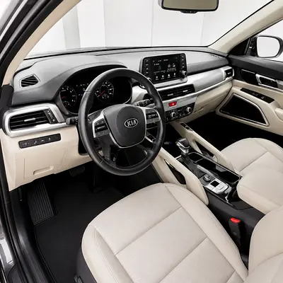 2020 KIA TELLURIDE 照片 13