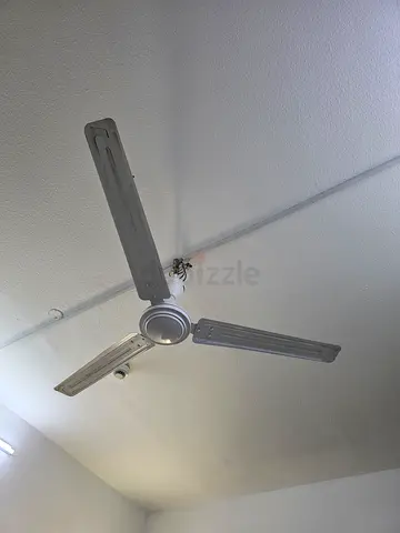 Classic White 3-Blade Ceiling Fan