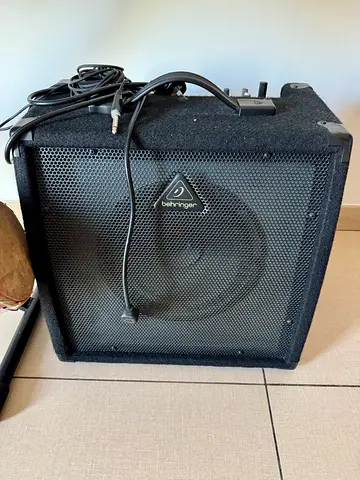 Amplifier speaker