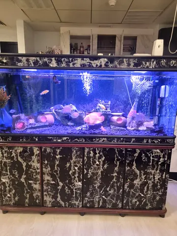 Aquarium Complete. 1.5 meter long. With All accessories. Cost is 6000 selling for 1200
