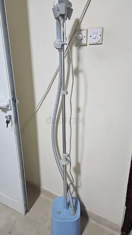 Steam iron