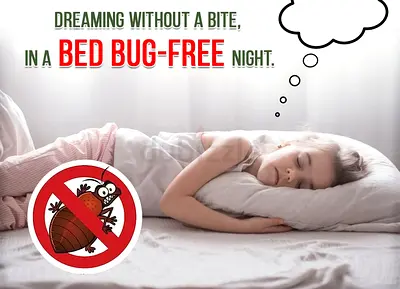 Dream peacefully in a bug free bed pest control is here to ensure your nights are restful and bugsfr