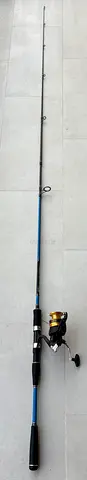 Fishing rod