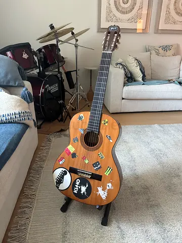 Guitar