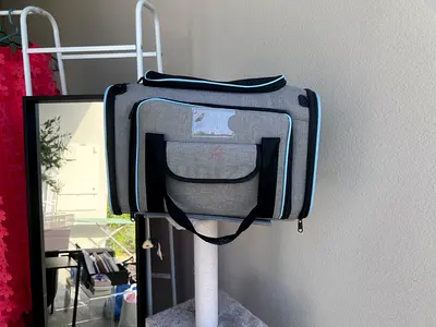 Cat bag