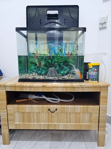 Bigger fish tank with stand, food and accessories - good condition