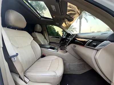 2014 Mercedes-BENZ GL 照片 13