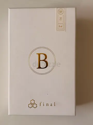Final earphone