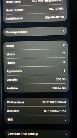 Ipad mini 256