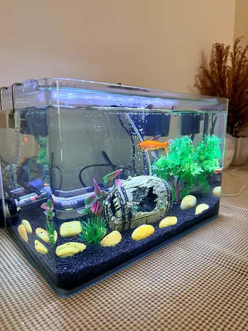 Fish Aquarium for Sale 🐠🐠🐟