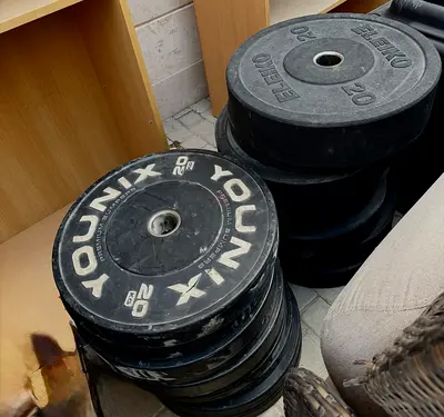 Premium Rubber Coated Weight Plates (Eleiko, Younix, and Talise) - Used (Negotiable Price)