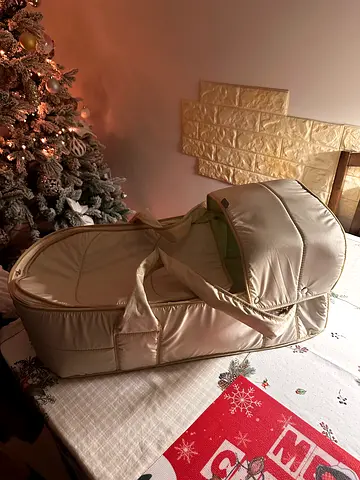 Carry baby bag travel basket