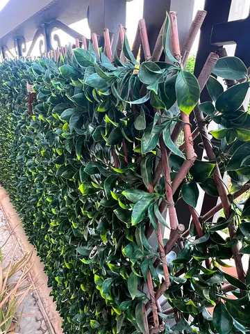 Five Outdoor Garden Fences  ( 2 x 1  meter)