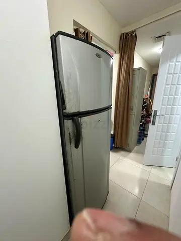 Double Door Top Freezer Refrigerator