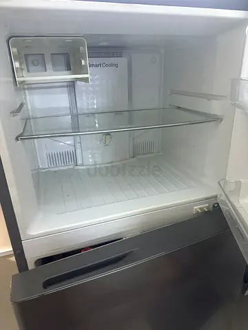 Freez