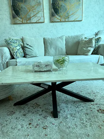 Modern coffee table marble top