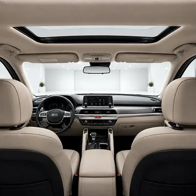 2020 KIA TELLURIDE 照片 11
