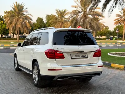 2014 Mercedes-BENZ GL 照片 6