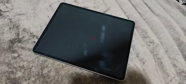 iPad 12.9 5th gen 256gb
