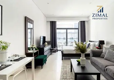 Spacious Furnished Studio Available For Rent