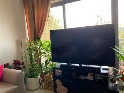 تلفاز