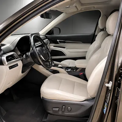 2020 KIA TELLURIDE 照片 10