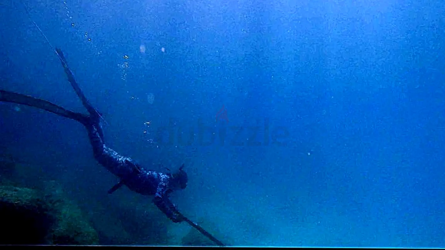 DPV_View_Image_1