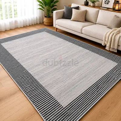 Neutral Grey Modern Area Rug with Striped Border