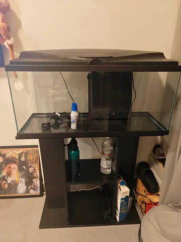 My aquarium setup — tank with stand, filter and light