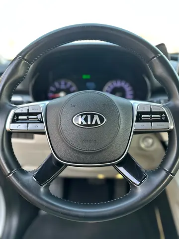 2020 KIA TELLURIDE 照片 7