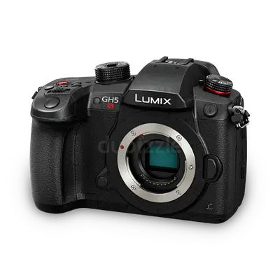 Panasonic Lumix GH5S Mirrorless Camera Body