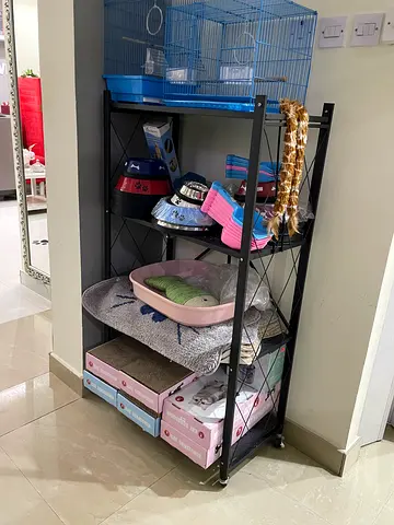 pet accessories