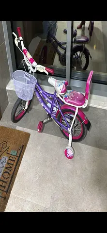 Purple and Pink Childrens Bicycle with Front Basket and Training Wheels
